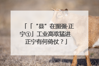 「“县”在图强·正宁①」工业高歌猛进 正宁有何倚仗？
