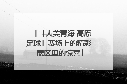 「大美青海 高原足球」赛场上的精彩 展区里的惊喜