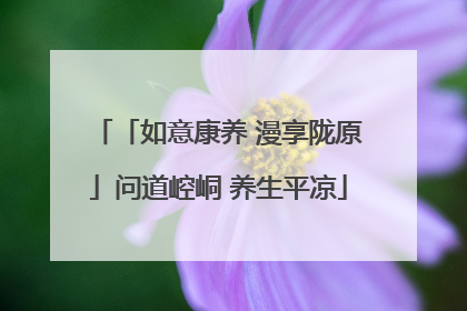 「如意康养 漫享陇原」问道崆峒 养生平凉