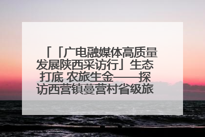 「广电融媒体高质量发展陕西采访行」生态打底 农旅生金——探访西营镇蔓营村省级旅游示范村的振兴密码
