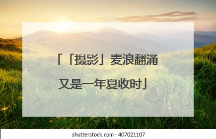 「摄影」麦浪翻涌 又是一年夏收时