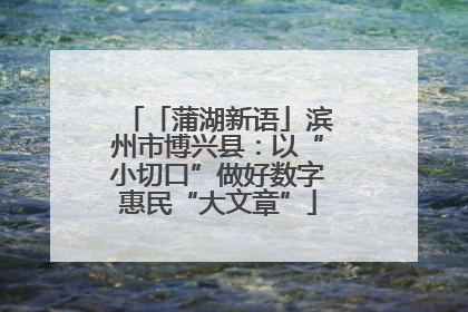 「蒲湖新语」滨州市博兴县：以“小切口”做好数字惠民“大文章”