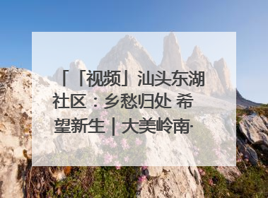 「视频」汕头东湖社区：乡愁归处 希望新生｜大美岭南·百村焕新记