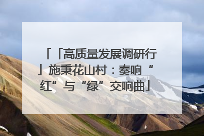 「高质量发展调研行」施秉花山村：奏响“红”与“绿”交响曲