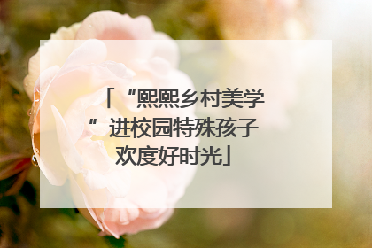 “熙熙乡村美学”进校园特殊孩子欢度好时光