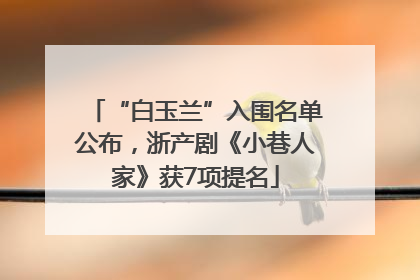 “白玉兰”入围名单公布，浙产剧《小巷人家》获7项提名