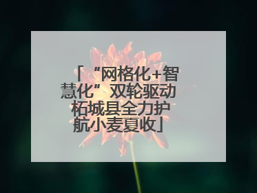 “网格化+智慧化”双轮驱动 柘城县全力护航小麦夏收