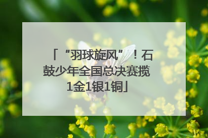 “羽球旋风”！石鼓少年全国总决赛揽1金1银1铜