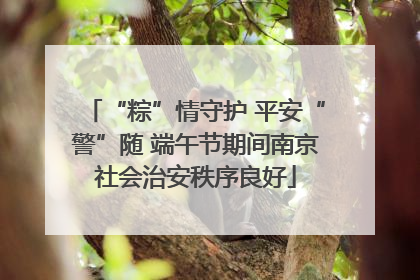 “粽”情守护 平安“警”随 端午节期间南京社会治安秩序良好