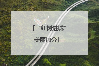 “红树进城” 美丽加分