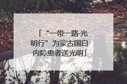 “一带一路·光明行”为蒙古国白内障患者送光明