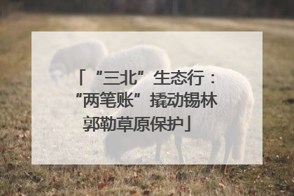 “三北”生态行：“两笔账”撬动锡林郭勒草原保护