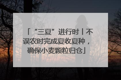 “三夏”进行时丨不误农时完成夏收夏种，确保小麦颗粒归仓