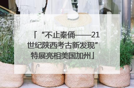 “不止秦俑——21世纪陕西考古新发现”特展亮相美国加州