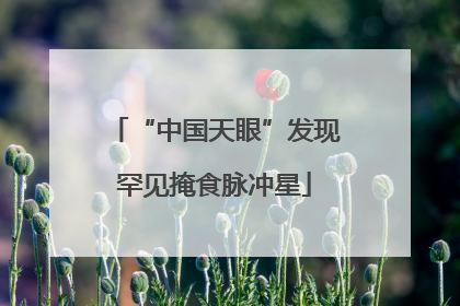 “中国天眼”发现罕见掩食脉冲星