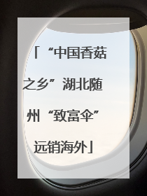 “中国香菇之乡”湖北随州“致富伞”远销海外