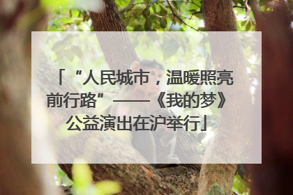 “人民城市，温暖照亮前行路”——《我的梦》公益演出在沪举行