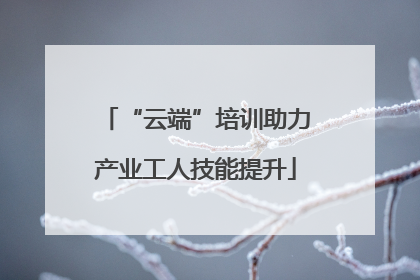 “云端”培训助力产业工人技能提升