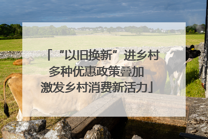 “以旧换新”进乡村 多种优惠政策叠加 激发乡村消费新活力