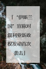 “伊斯兰国”宣称对叙利亚新政权发动首次袭击