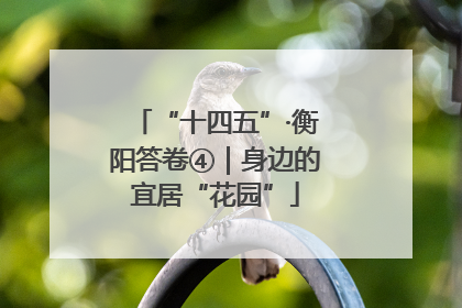 “十四五”·衡阳答卷④｜身边的宜居“花园”