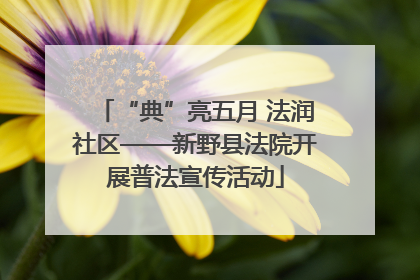 “典”亮五月 法润社区——新野县法院开展普法宣传活动