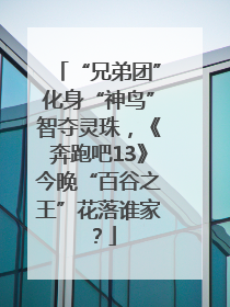 “兄弟团”化身“神鸟”智夺灵珠，《奔跑吧13》今晚“百谷之王”花落谁家？