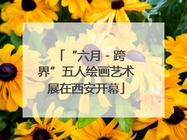 “六月 - 跨界”五人绘画艺术展在西安开幕