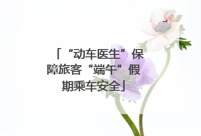 “动车医生”保障旅客“端午”假期乘车安全