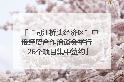 “同江桥头经济区”中俄经贸合作洽谈会举行 26个项目集中签约