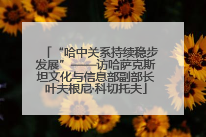 “哈中关系持续稳步发展”——访哈萨克斯坦文化与信息部副部长叶夫根尼·科切托夫