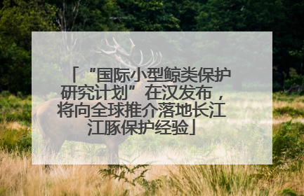“国际小型鲸类保护研究计划”在汉发布，将向全球推介落地长江江豚保护经验