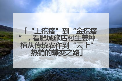 “土疙瘩”到“金疙瘩”，看肥城旅店村生姜种植从传统农作到“云上”热销的蝶变之路