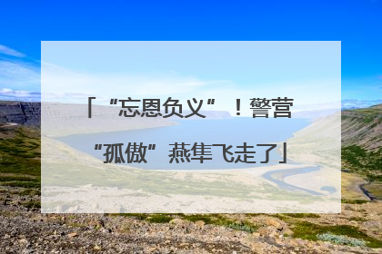 “忘恩负义”！警营“孤傲”燕隼飞走了