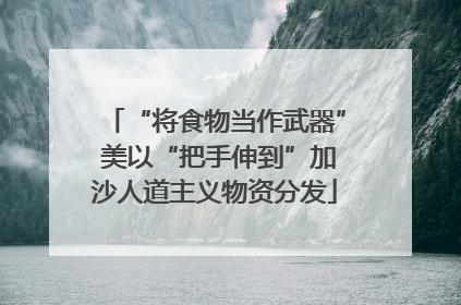 “将食物当作武器” 美以“把手伸到”加沙人道主义物资分发