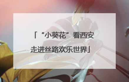 “小葵花”看西安走进丝路欢乐世界