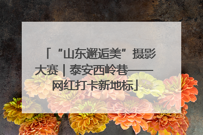 “山东邂逅美”摄影大赛｜泰安西岭巷——网红打卡新地标