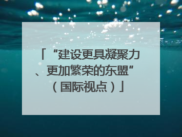 “建设更具凝聚力、更加繁荣的东盟”（国际视点）
