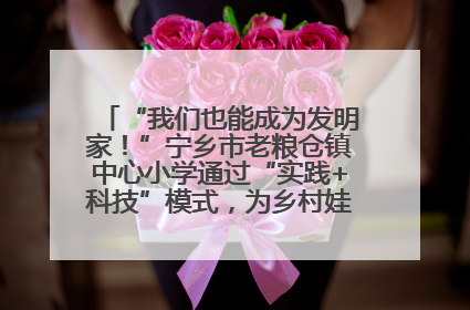 “我们也能成为发明家！”宁乡市老粮仓镇中心小学通过“实践+科技”模式，为乡村娃探索教育新路径