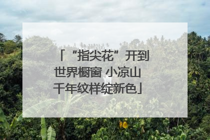 “指尖花”开到世界橱窗 小凉山千年纹样绽新色