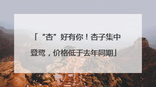“杏”好有你！杏子集中登鹭，价格低于去年同期