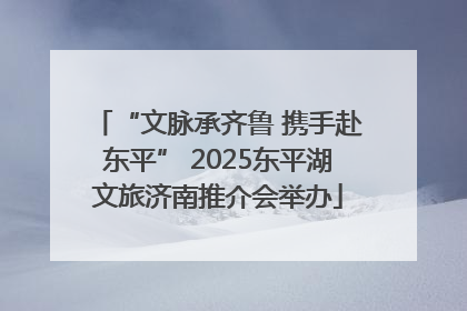 “文脉承齐鲁 携手赴东平” 2025东平湖文旅济南推介会举办