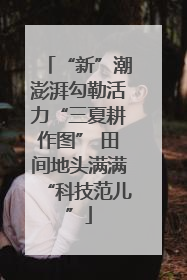 “新”潮澎湃勾勒活力“三夏耕作图” 田间地头满满“科技范儿”