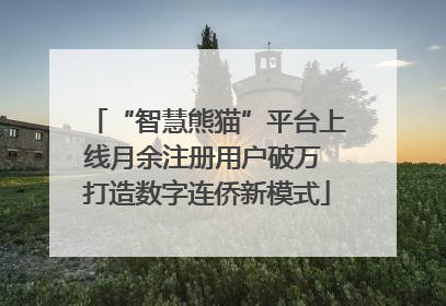 “智慧熊猫”平台上线月余注册用户破万 打造数字连侨新模式