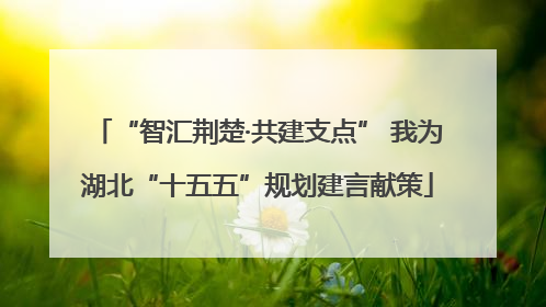 “智汇荆楚·共建支点” 我为湖北“十五五”规划建言献策
