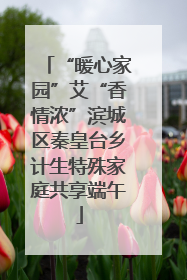 “暖心家园”艾“香情浓”滨城区秦皇台乡计生特殊家庭共享端午