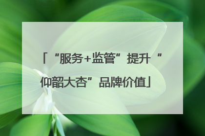 “服务+监管”提升“仰韶大杏”品牌价值
