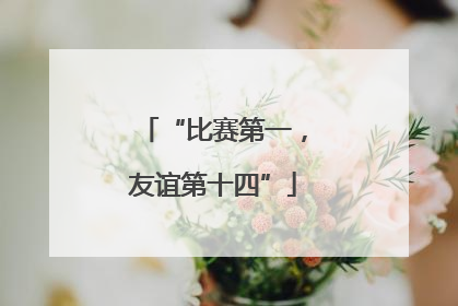 “比赛第一，友谊第十四”
