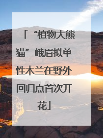 “植物大熊猫”峨眉拟单性木兰在野外回归点首次开花