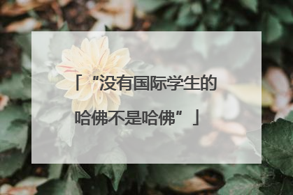 “没有国际学生的哈佛不是哈佛”